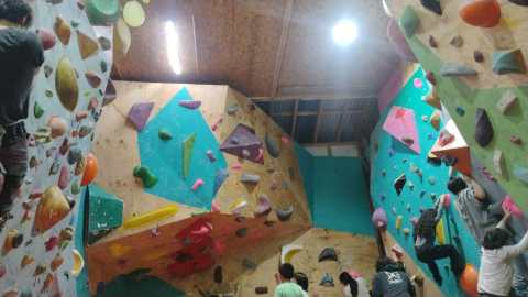 Marsupial Escalada